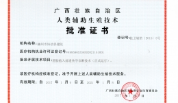 人类辅助生殖技术批准证书