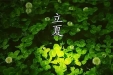 时至立夏，这些养生知识请查收！