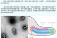 支原体肺炎“用药三件套”靠谱吗？这些事你也必须知道.....