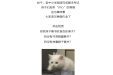 叮！寒假作业已到手，寒假作业的正确打开姿势你get了吗？