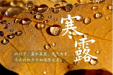 我们的节气 | 寒露：三宜、三忌、三秘诀，过好深秋15天