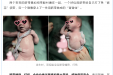 小领带+背背佳，这对双胞胎把脐带玩出了“花”…